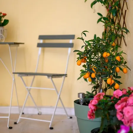 The Corfiot ' Center ' アパート コルフ島